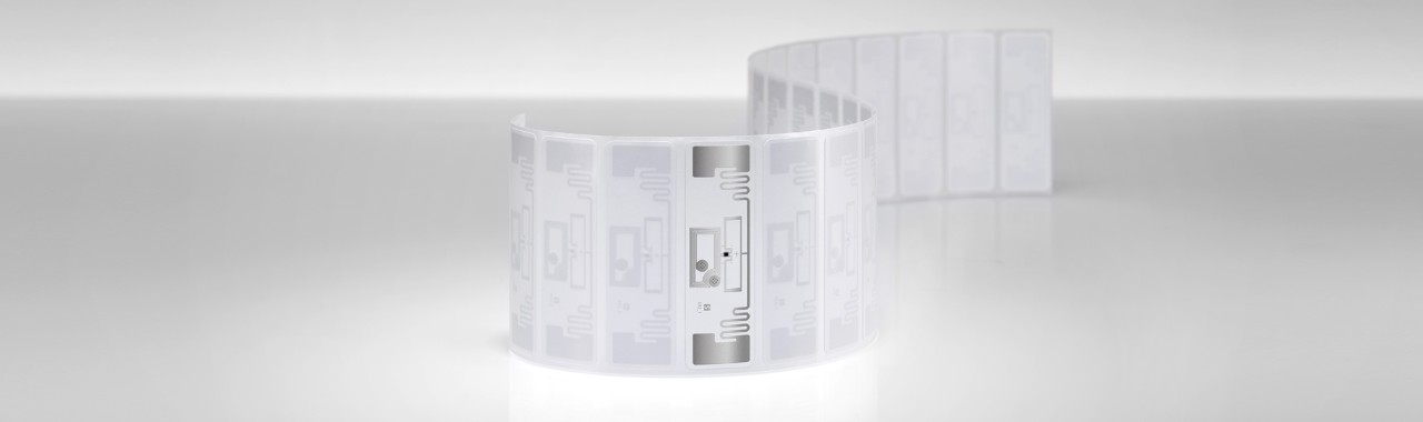 Belt DF